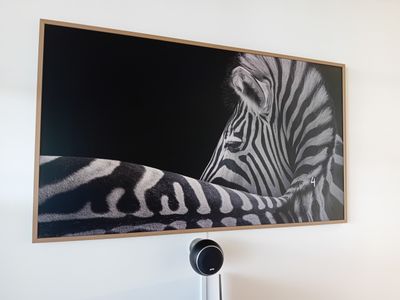 une photo d'un zèbre accrochée au mur
