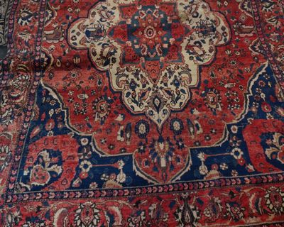 un chat assis sur un tapis au sol