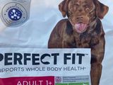 un sac de croquettes « Perfect Fit » sur lequel figure le visage d'un chien