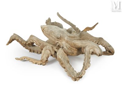 an octopus that is laying down on the ground
