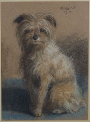 une image représentant un dessin d'un chien assis sur une table