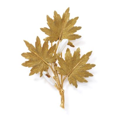 gold plated leaf brooch on a white background