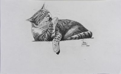 pencil drawing of a cat laying down on the ground with its head on its paw