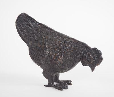 a black bird that is standing on a white surface
