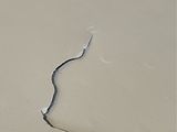 a crack in the sand of a beach with a wave coming in