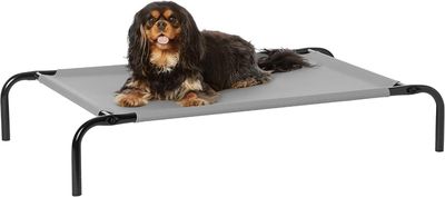 le petit chien est assis sur le lit surélevé, sur fond blanc