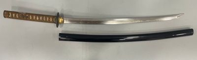 Shinshinto Katana JAPON - Epoque MEIJI (1868 - 1912)