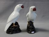 two white birds sitting on top of a rock