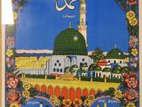a painting of a picture of a mosque in a frame