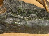bronze statue of a dog on a rock on a table