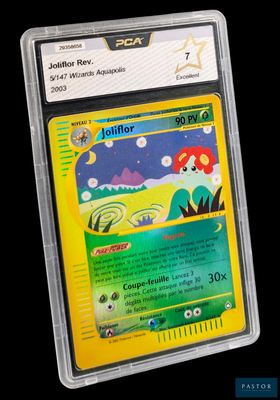 La carte Pokémon se trouve dans un étui en plastique transparent sur fond noir.