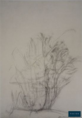 pencil drawing of a plant in a vase on a table
