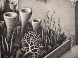 a black and white drawing of an underwater scene