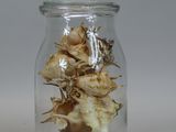 a glass jar filled with dried flowers on a white surface
