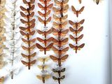 a lot of butterflies that are hanging on the wall
