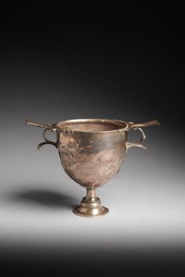 a silver cup with handles and handles on a gray surface