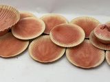 a lot of mushrooms that are sitting on a table