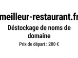 Photo 1/1 du lot