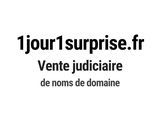Photo 1/1 du lot