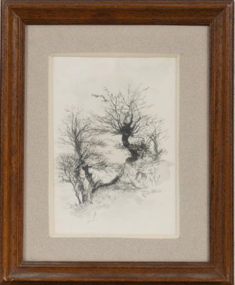un dessin en noir et blanc représentant un arbre dans la neige