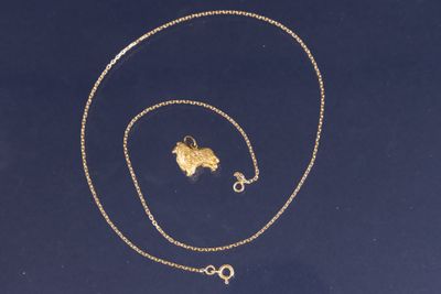 une image représentant un collier en or et une clé en or sur fond bleu