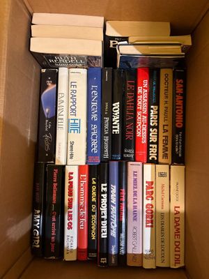 Lot de livres dont polar.