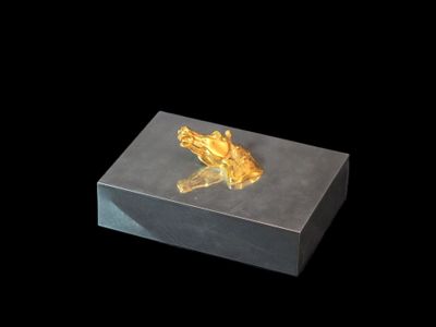 une boîte contenant une pièce d'or, sur fond noir