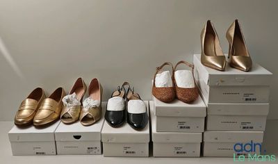 Plusieurs paires de chaussures pour femmes sont alignées sur des boîtes