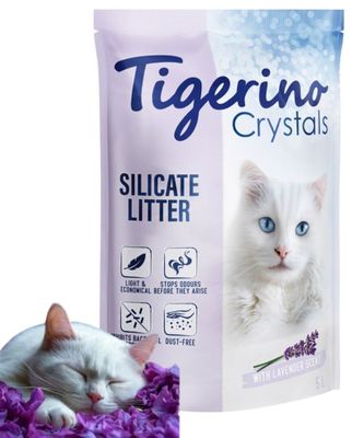 un chat blanc couché à côté d'un sac de litière pour chat