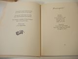an open book with a picture of a cat on it