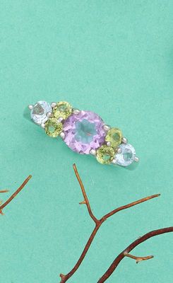 un petit morceau de tissu violet et vert accroché à une branche d'arbre