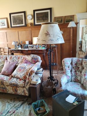 un salon avec un canapé, un fauteuil, une lampe et d'autres meubles
