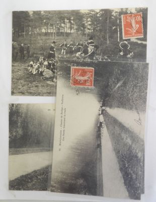 plusieurs vieilles photos représentant des personnes et des animaux dans un champ, avec des arbres en arrière-plan