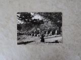 une photo en noir et blanc d'un cimetière dans les bois