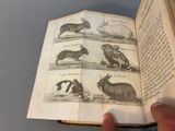 a person holding a book with pictures of animals on it
