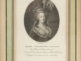 portrait of a lady with a feathered hat and feathered headdress