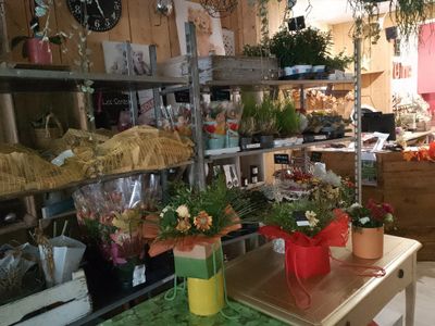 many different types of flowers on display in the store