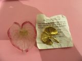 a piece of paper and a flower on a pink surface