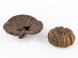 des champignons séchés posés sur une surface blanche, avec un fond blanc