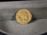 une image représentant une pièce d'or dans un étui en velours