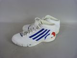 adidas shoes with blue and red stripes on them on a white surface