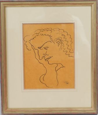 an image of a drawing of a woman ' s face in a gold frame