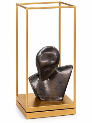 an image of a bronze sculpture of a woman ' s head in a glass case