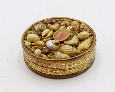 une boîte dorée contenant des coquillages, posée sur un fond blanc