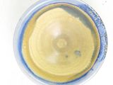a blue and yellow bowl with a yellow rim