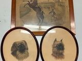 deux photos encadrées représentant un chien et un homme à cheval