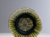 an image of a green and black plate on a white surface