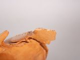 a piece of bread that has been cut in half
