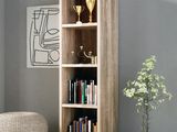 une photo d'une bibliothèque dans un salon, avec un vase de fleurs