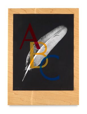 an image of a black and white photo of a feather with the letters abc on it